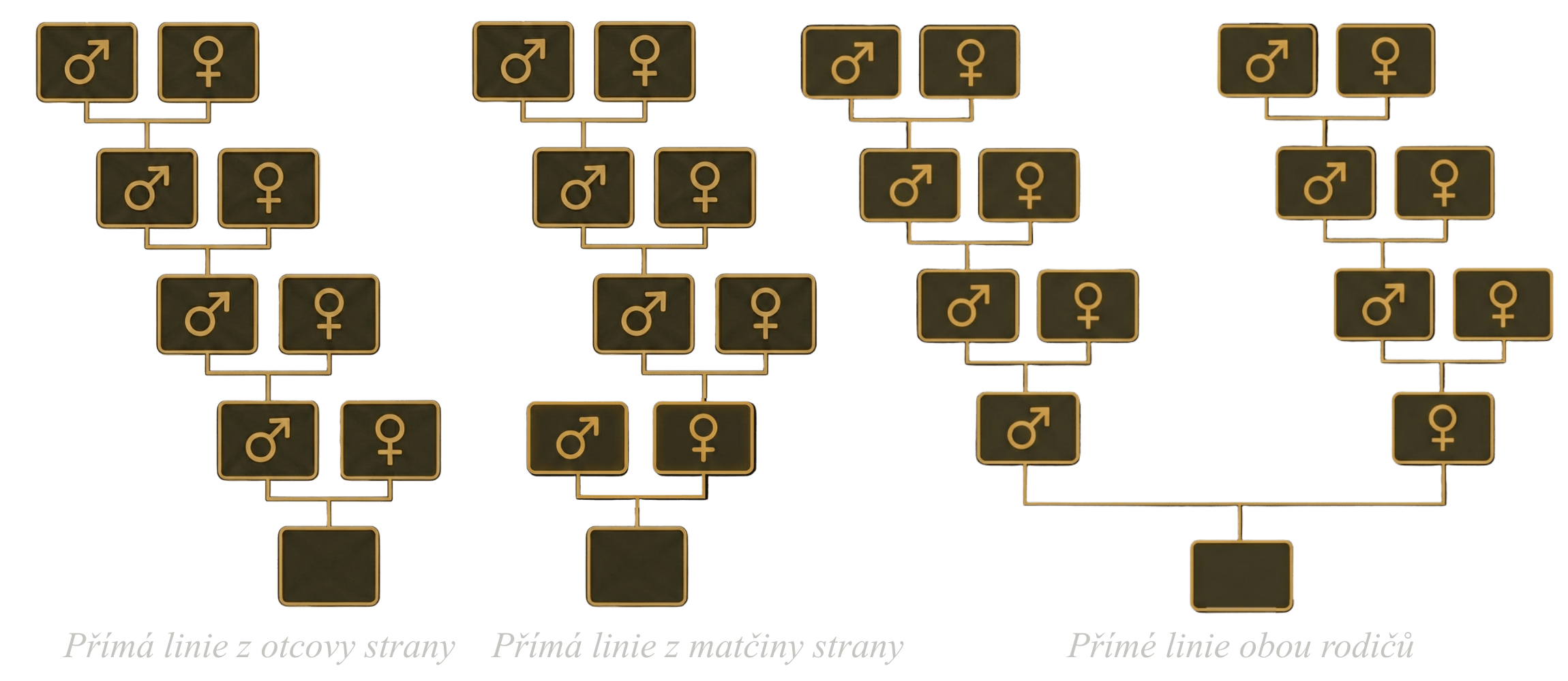 Přímé linie - schéma