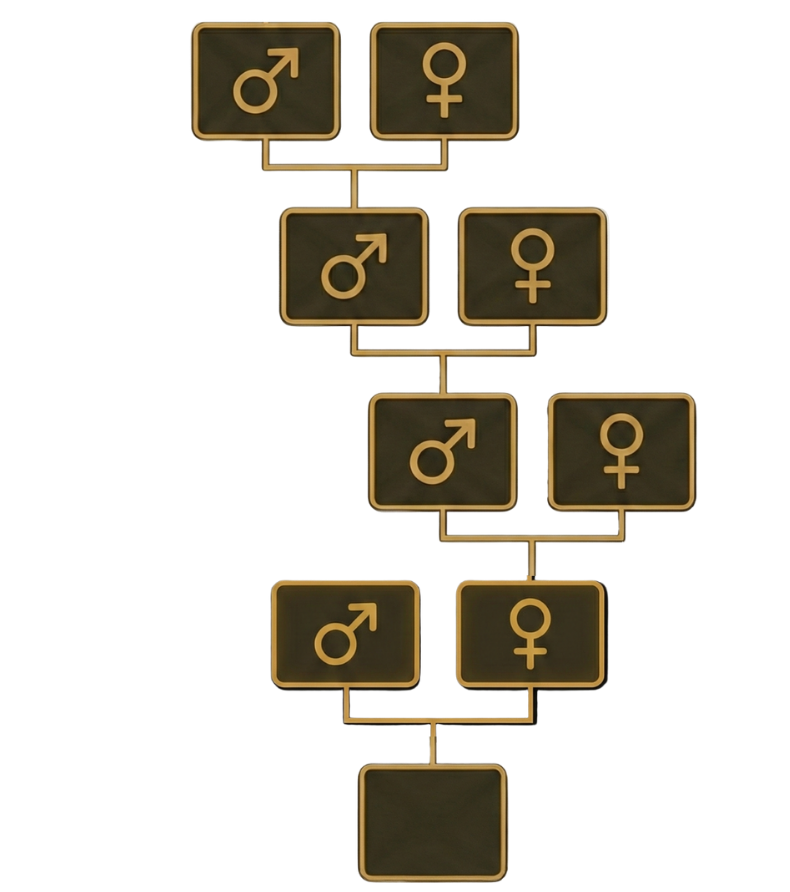 Přímá linie z matčiny strany - schéma